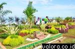 Taman Bungo hasil kreasi DPKAD Padang di tepi pantai depan Lapau Panjang Cimpago, kawasan Purus, Padang. Dulunya, di lokasi ini setidaknya terdapat 19 pengelola warung makanan yang dilengkapi tenda ceper. (humas pemko Padang)