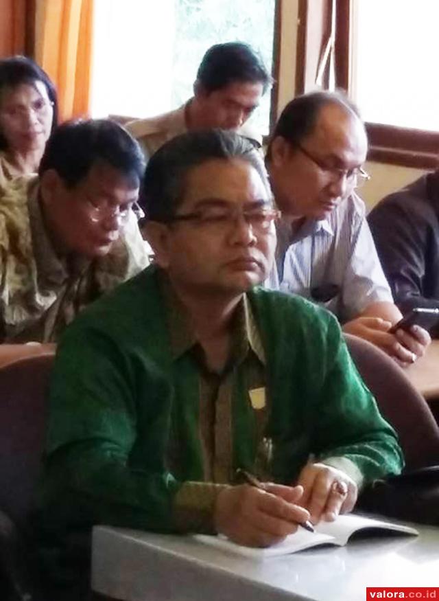 Sekretaris DPW PPP Sumbar kubu Romi, Amora Lubis. (istimewa)