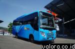 Bus Trans Padang yang melayani rute Pasar Raya Padang hingga batas kota Lubukbuaya. (istimewa)