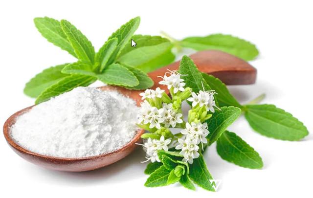 Ilustrasi daun stevia dan gula.