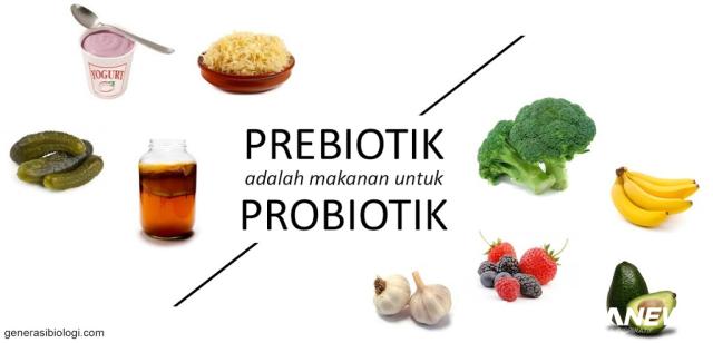 Ilustrasi dikutip dari generasi biologi.com.
