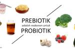 Ilustrasi dikutip dari generasi biologi.com.