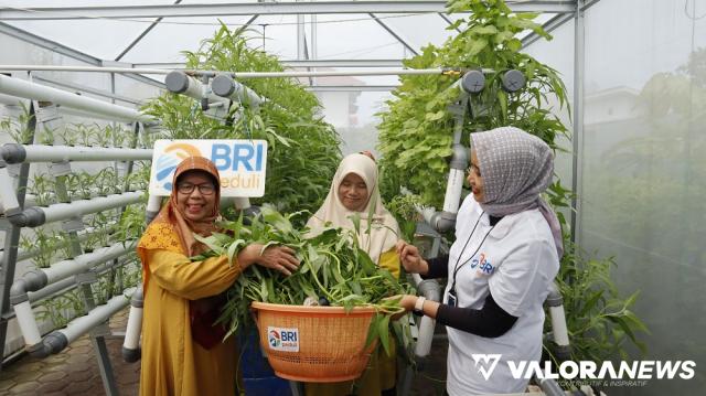 Kelompok Wanita Tani (KWT) Ikhwatunnissa dengan hasil panen sayuran hidropinik.