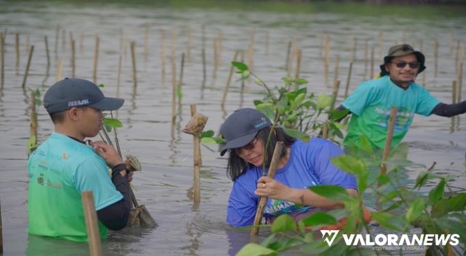 Direktur Human Capital Bio Farma, Endang Suraningsih beserta 200 karyawan Biofarma Group, melakukan penanaman bibit mangrove di Desa Mayangan, Kabupaten Subang, 17 Juni 2023. Kegiatan ini dilaksanakan untuk memperingati Hari Lingkungan Hidup dan Laut tahu