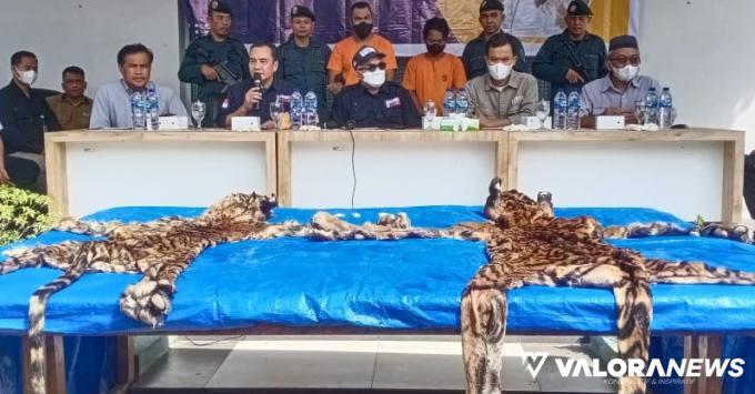 Direktur Pencegahan dan Pengamanan LHK, Sustyo Iriyono bersama Kepala Balai Gakkum LHK Sumatera, Subhan dan di tim SPORC Brigade Beruang, paparkan hasil tangkapan di kantor Gakkum LHK Pekanbaru, Kamis. (humas)