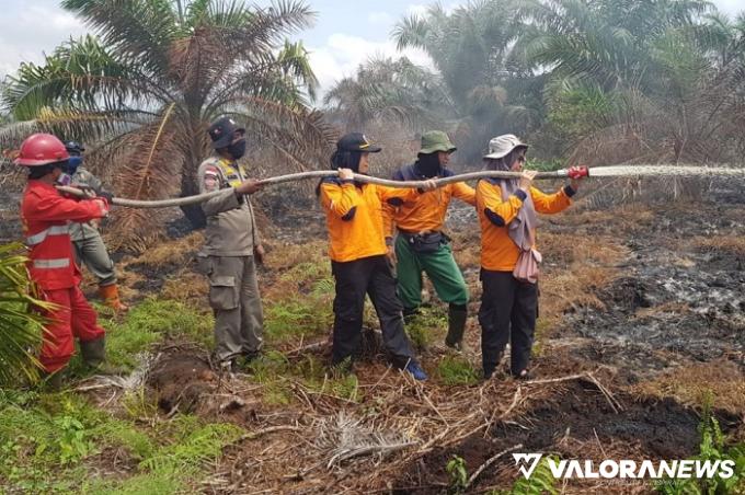 Sejumlah personel Satgas Kebakaran Hutan dan Lahan memadamkan kebakaran hutan di Riau.