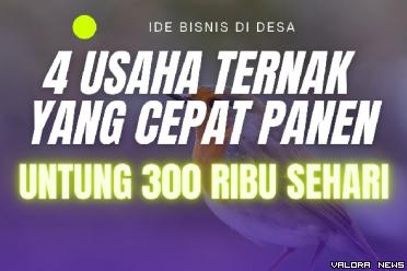 Ilustrasi 4 ide usaha ternak cepat panen dan berpenghasilan tinggi. (Foto: channel Youtube Inspirasi Pagi)