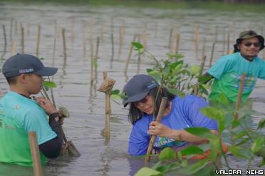 Direktur Human Capital Bio Farma, Endang Suraningsih beserta 200 karyawan Biofarma Group, melakukan penanaman bibit mangrove di Desa Mayangan, Kabupaten Subang, 17 Juni 2023. Kegiatan ini dilaksanakan untuk memperingati Hari Lingkungan Hidup dan Laut tahu