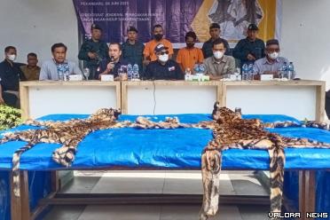 Direktur Pencegahan dan Pengamanan LHK, Sustyo Iriyono bersama Kepala Balai Gakkum LHK Sumatera, Subhan dan di tim SPORC Brigade Beruang, paparkan hasil tangkapan di kantor Gakkum LHK Pekanbaru, Kamis. (humas)
