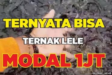 Ilustrasi cara memulai bisnis ternak ikan lele modal Rp1 juta. (Foto: channel Youtube Ternak Ikan)