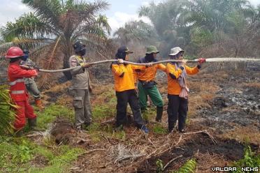 Sejumlah personel Satgas Kebakaran Hutan dan Lahan memadamkan kebakaran hutan di Riau.