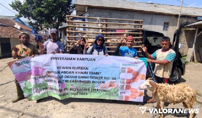 Seekor domba program Tebar Kurban Biofarma, diterima masyarakat Bogor.