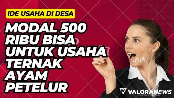Ilustrasi ide usaha ayam petelur di desa modal Rp1 juta. (Foto: Canva)
