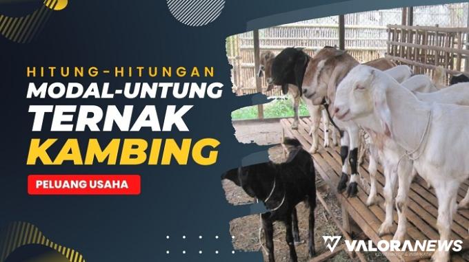 Ilustrasi ternak kambing. (Foto: Canva)