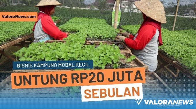 Ide bisnis di kampung bisa untung hingga Rp20 juta per bulan. (Foto: Canva)