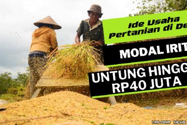 Ilustrasi ide bisnis pertanian yang tidak ada matinya di daerah pedesaan tahun 2023. (Foto: Canva)