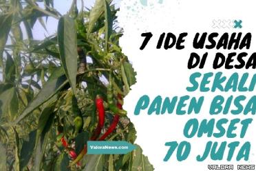 Ilustrasi ide usaha di desa minim pesain tahun 2023. (Foto: LMGA ARGO/Canva)