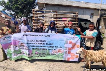 Seekor domba program Tebar Kurban Biofarma, diterima masyarakat Bogor.
