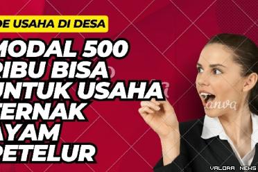 Ilustrasi ide usaha ayam petelur di desa modal Rp1 juta. (Foto: Canva)