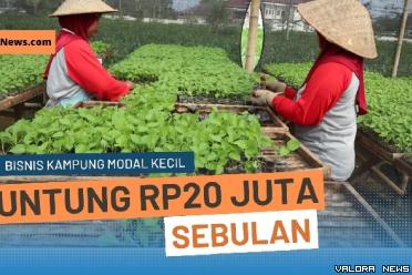 Ide bisnis di kampung bisa untung hingga Rp20 juta per bulan. (Foto: Canva)