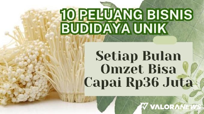 Ilustrasi peluang bisnis budidaya unik paling cuan 2023. (Foto: Pinterest/Canva)