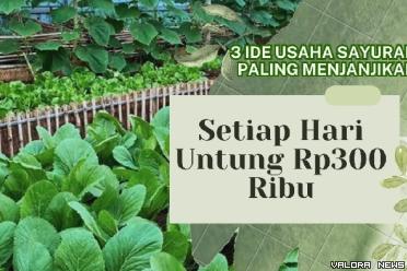 Ilustrasi ide usaha sayuran cepat panen, sehari untung Rp300 ribu. (Foto: Pinterest/Canva)