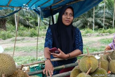 Seorang pedagang durian di Kampung Agam, Itin, menjelaskan asal mula pohon durian di Kampung Agam yang sudah ditanam keluarga Sultan Siak, sejak jaman penjajahan Belanda. (humas)
