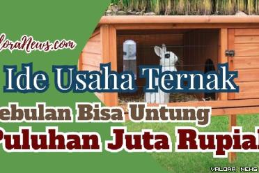 Ilustrasi ide usaha ternak yang menjanjikan tahun 2023. (Foto: Pinterest/Canva)