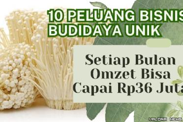 Ilustrasi peluang bisnis budidaya unik paling cuan 2023. (Foto: Pinterest/Canva)