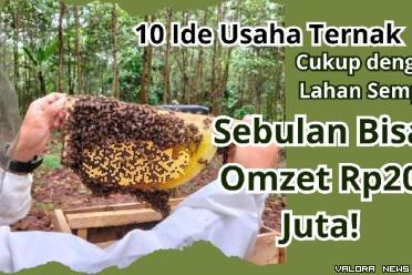 Ilustrasi ide usaha ternak yang bisa di lahan sempit tahun 2023. (Foto: Pinterest/Canva)