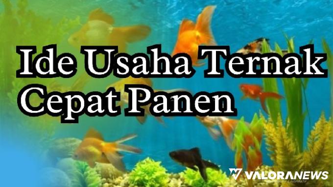 Ilustrasi ide usaha ternak cepat panen. (Foto: Canva/Pinterest)