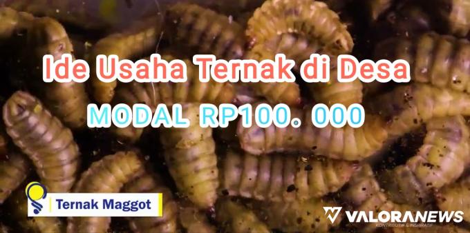 Ilustrasi ide usaha ternak di desa modal minim. (Foto: channel Youtube Suksespedia)