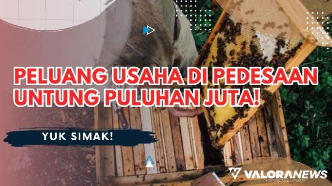 Ilustrasi peluang usaha di pedesaan untung puluhan juta. (Foto: Canva/Pinterest)