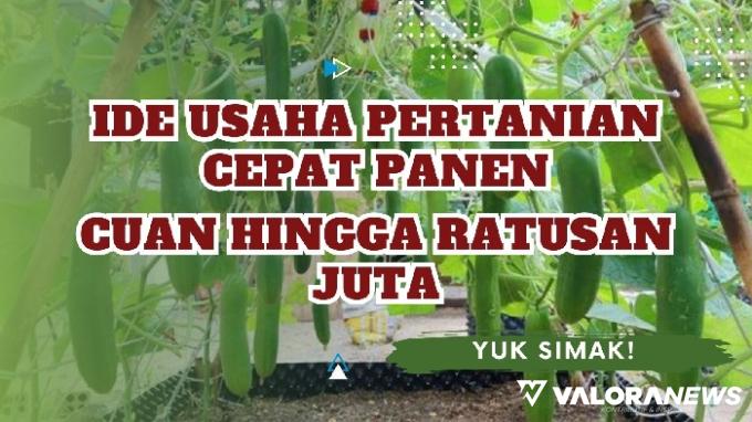 Ilustrasi ide usaha pertanian cepat panen. (Foto: Pinterest/Canva)