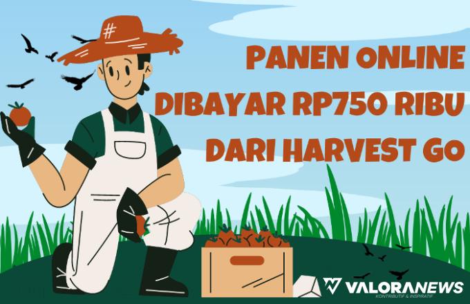 Ilustrasi Game Penghasil Uang Harvest Go (foto: Red-Hawk Canva)