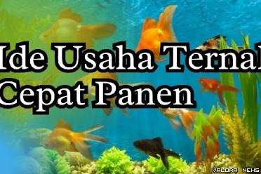 Ilustrasi ide usaha ternak cepat panen. (Foto: Canva/Pinterest)