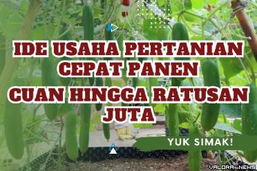 Ilustrasi ide usaha pertanian cepat panen. (Foto: Pinterest/Canva)