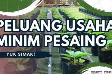 Ilustrasi ide usaha minim pesaing modal irit. (Foto: Canva/Pinterest)