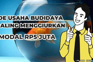 Ilustrasi ide usaha budidaya modal Rp5 jutaan. (Foto: Canva/Pinterest)