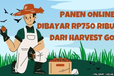 Ilustrasi Game Penghasil Uang Harvest Go (foto: Red-Hawk Canva)
