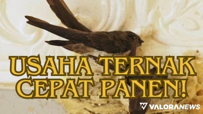 Ilustrasi ide usaha ternak untung puluhan hingga ratusan juta. (Foto: Canva/Pinterest)