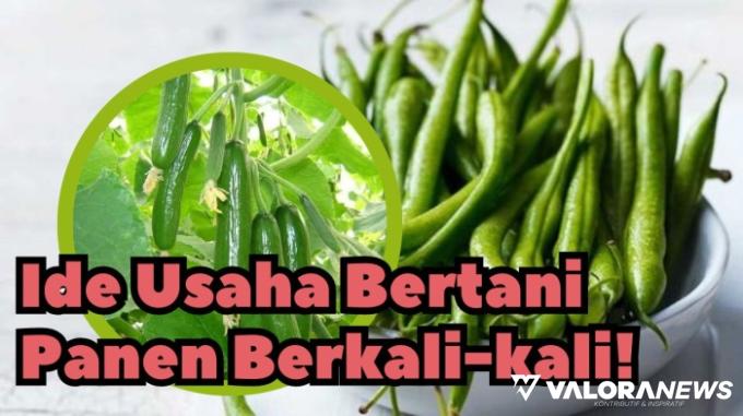 Ilustrasi ide usaha bertanam sayur untung melegit. (Foto: Canva/Pinterest)
