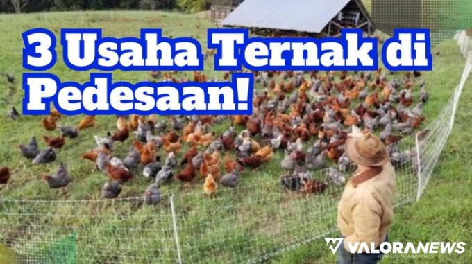 Ilustrasi ide usaha ternak di pedesaan paling cuan. (Foto: Canva/Pinterest)