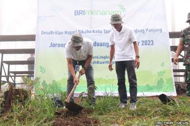 Regional CEO BRI Padang, Moh Harsono menanam bibit duriang montong di Nagari Sikabu-kabu Tanjung Haro Padang Panjang, Kota Payakumbuh, Jumat. Nagari ini merupakan binaan BRI. (humas)