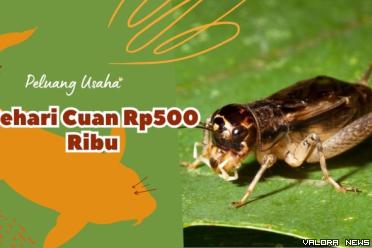 Ilustrasi ide usaha ternak cepat panen tahun 2023. (Foto: Canva/Pinterest)