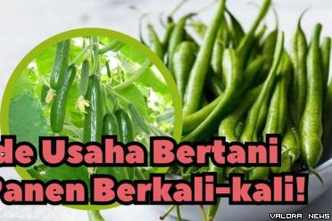 Ilustrasi ide usaha bertanam sayur untung melegit. (Foto: Canva/Pinterest)