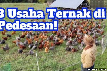 Ilustrasi ide usaha ternak di pedesaan paling cuan. (Foto: Canva/Pinterest)