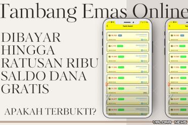 Ilustrasi Aplikasi Penghasil Uang Wild Cash yang terbukti membayar saldo DANA (foto: Youtuber Jadi Berkah/Canva)