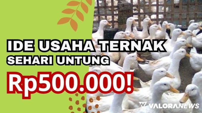 Ilustrasi ide usaha ternak menggiurkan tahun 2023. (Foto: Canva/Pinterest)