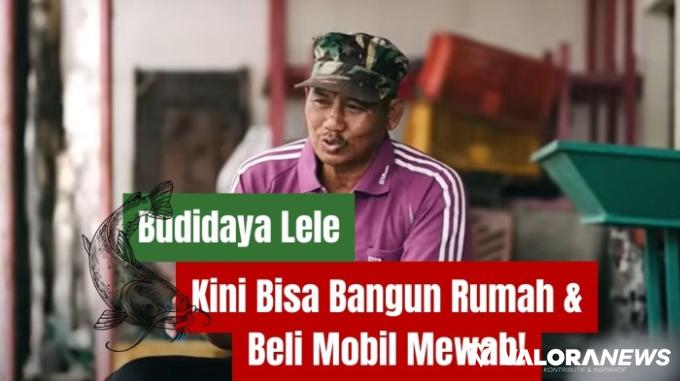 Ilustrasi kisah sukses pengusaha budidaya lele. (Foto: Canva/kanal Youtube Pecah Telur)